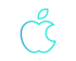 Apple Pay